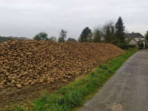 Radtour: Niederrheinischer Höhenzug bis Oermter Berg