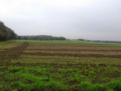 Radtour: Niederrheinischer Höhenzug bis Oermter Berg