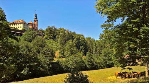 Waldsassengau 4: Buchental – Von Steinfeld bis Steinbach