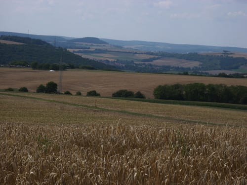 Wanderweg Nr. 01 Eußenheim Gesamtweg als Rundweg