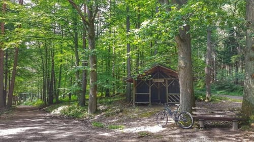 Rundwanderweg Weiten-Gesäß 4 : Hüttenweg