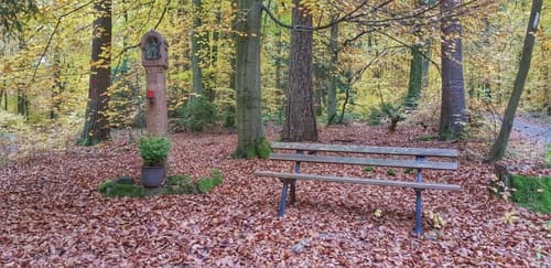 Bikewald Route 7