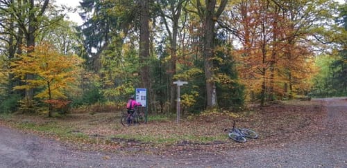 Bikewald Route 7