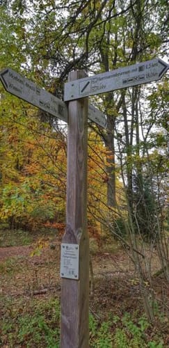 Bikewald Route 7