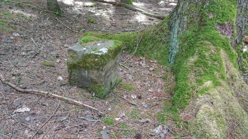 Von Eberbach nach Höchst über die Odenwaldhöhen