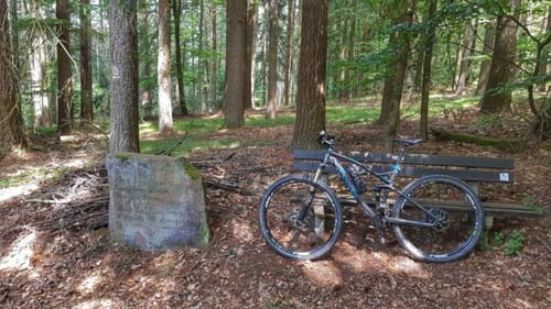 Von Eberbach nach Höchst über die Odenwaldhöhen