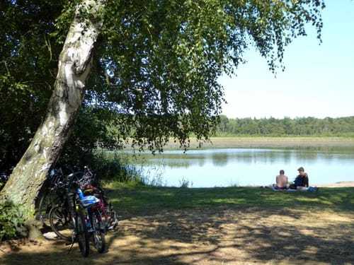 Nach Straupitz und zum Byhleguhrer See