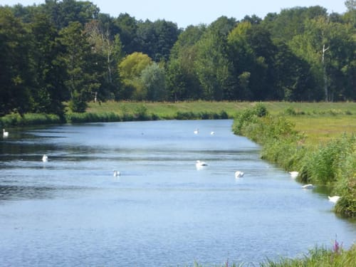 Nach Straupitz und zum Byhleguhrer See