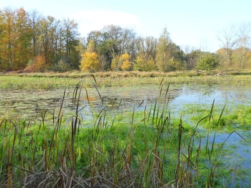 Rund um Resser Mark
