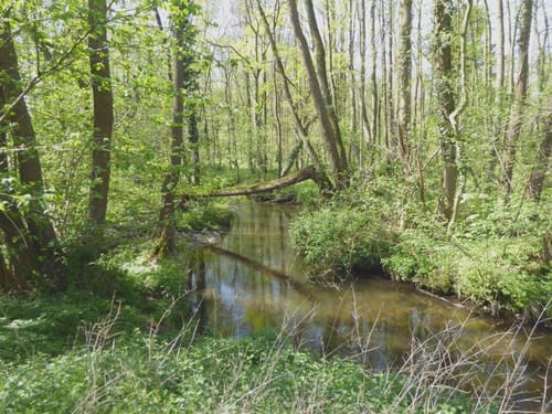 Rundweg A6 Papelter Bruch