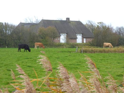 Grenzrunde ab Nolde-Museum Seebüll
