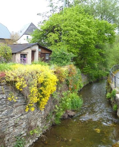 Mosel Radweg Etappe 5: Piesport - Bernkastel-Kues