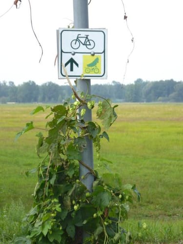Gurkenradweg: Burg - Schönwalde