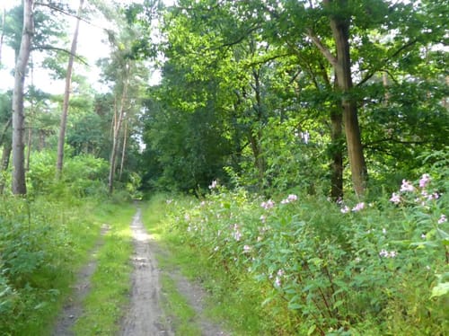 Radweg Hünxe F8