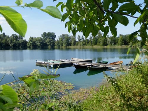 Rheinauen bei Brühl