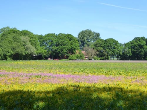Wabe 94 Coesfeld