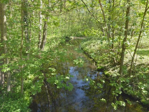 Nordic Walking Park Wegberg Route Lila