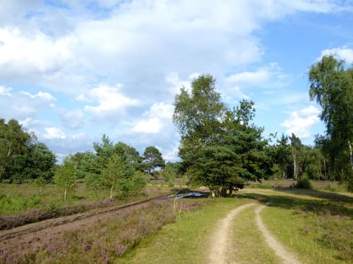 Heidegarten - Höpel - Silvestersee