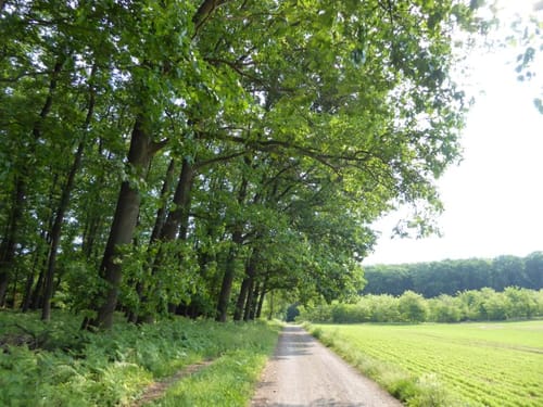 Radtour: Rund um Reken