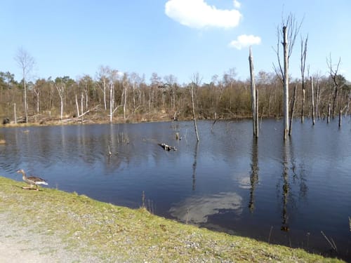 Vom Wasserschloss Wittringen zum Heidesee