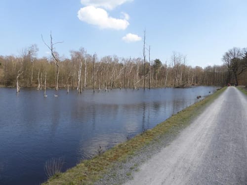 Vom Wasserschloss Wittringen zum Heidesee