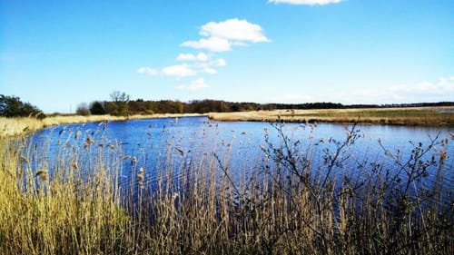 Runde ab Prerow durch Darßer Wald