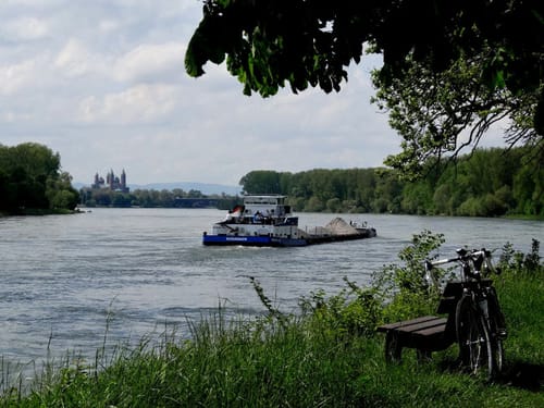 Auf dem Rheinauenradweg zwischen Speyer und Leopoldshafen