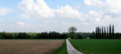 MTB: Große Runde Altrhein und Kanal