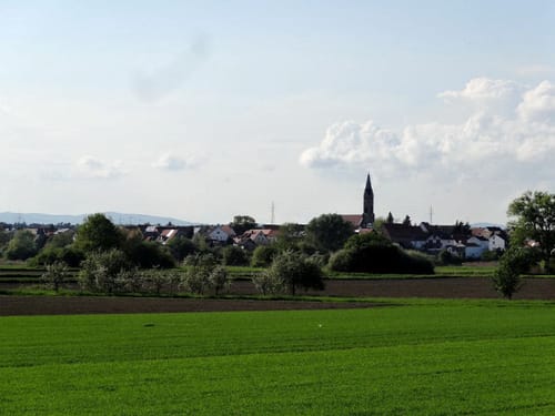 Auf dem Rheinauenradweg zwischen Speyer und Leopoldshafen