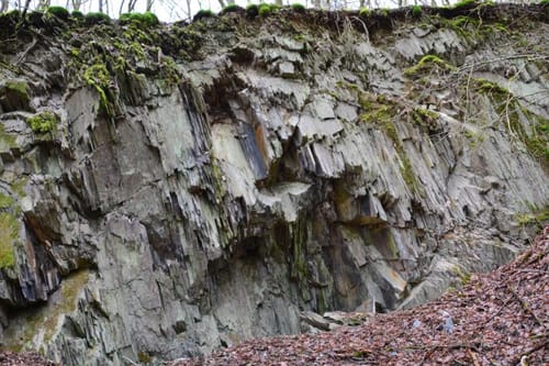 Soonwald (Traumschleife)
