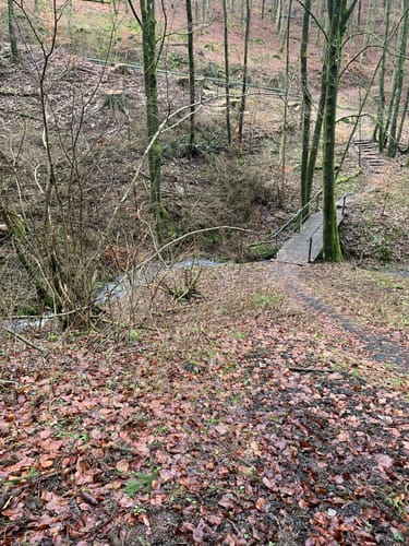 Hirzenhainer Höhenflug (Extratour)