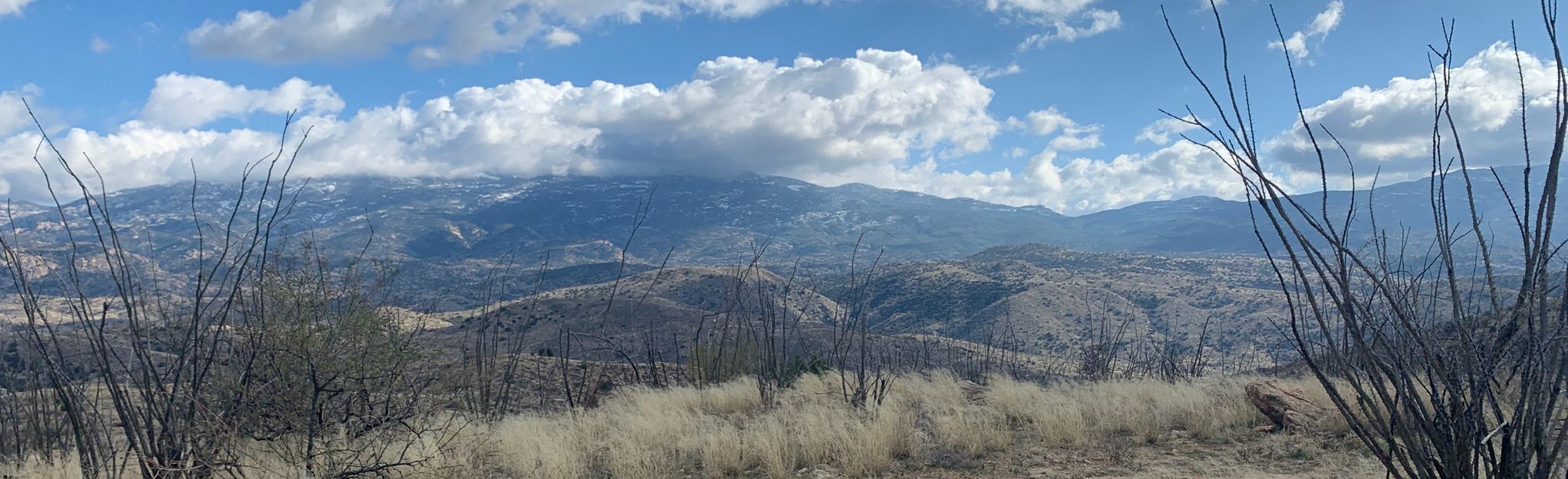 Chiva Falls Trail, Arizona - 323 Reviews, Map | AllTrails