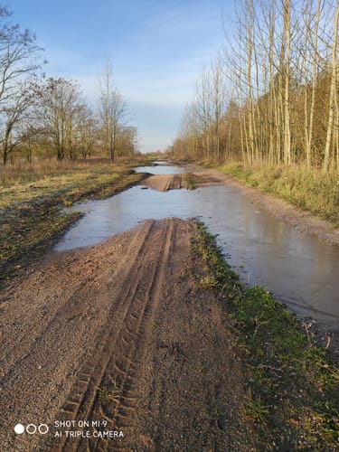 Sandersdorf-Brehna Landschaftssee Köckern