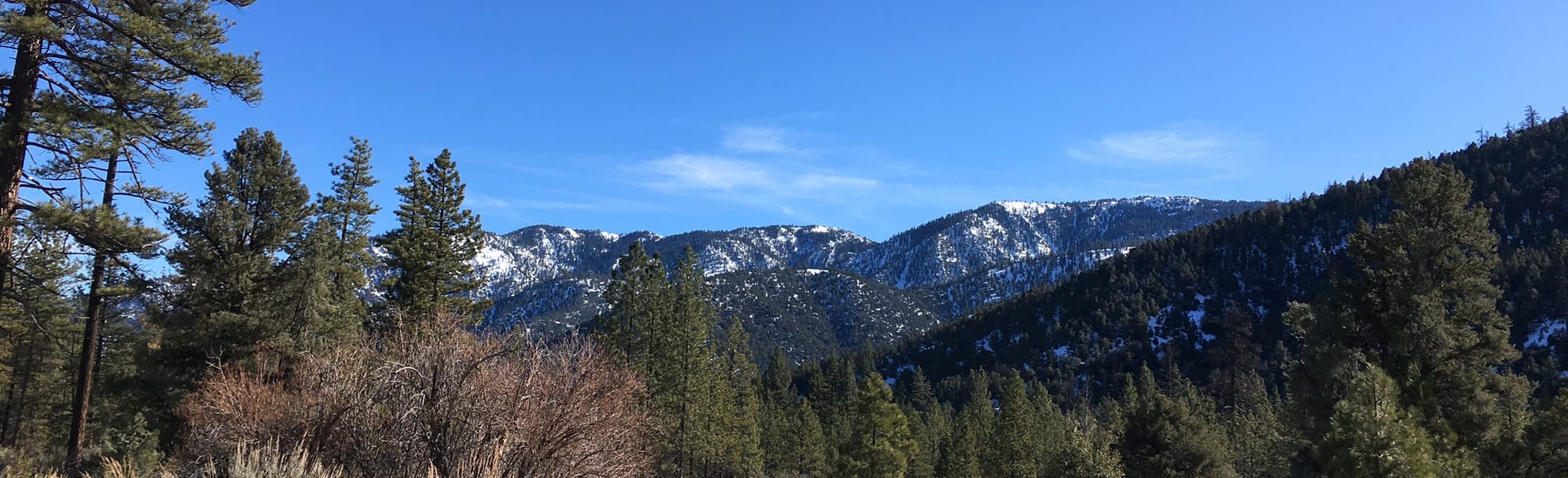 Pine Mountain SLC Loop, California 117 Reviews, Map AllTrails