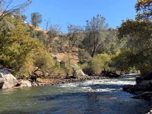 10 Best Hikes and Trails in Sequoia National Forest | AllTrails