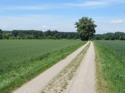 Rundtour um Philippsburg (Route 1)
