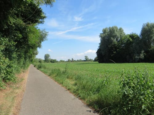 Von Karlsruhe über Hockenheim nach Stuttgart