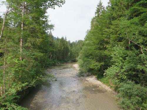 Langenau-Trail m. Reichenböden