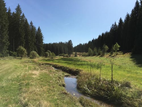 Vogtland Panorama Weg Etappe 10: Klingenthal - Vogelsgrün