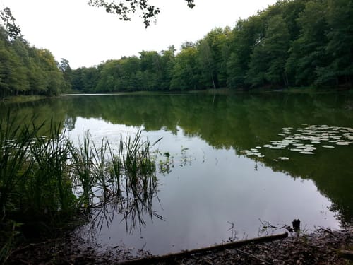 Wandlitzsee - Liepnitzsee