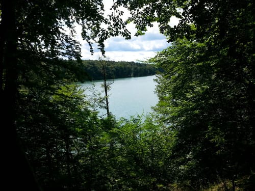 Waldlehrpfad Bernau - Liepnitzsee