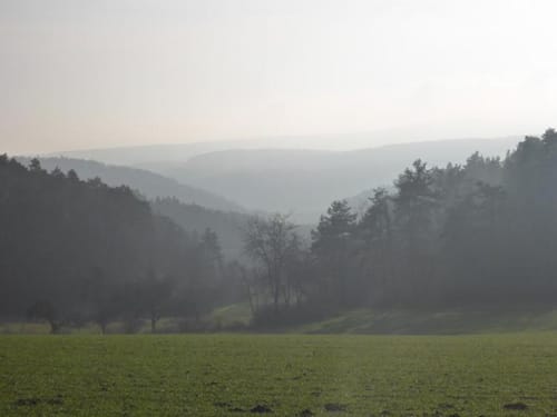 Rundweg bei Frickenhausen