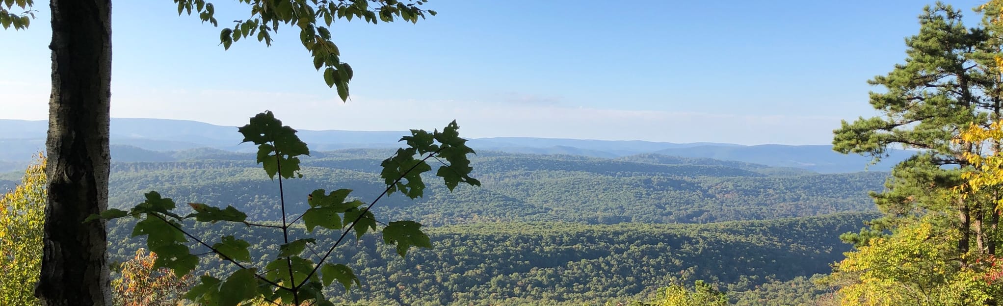 Trout Pond and Long Mountain Loop, West Virginia 52 Reviews, Map