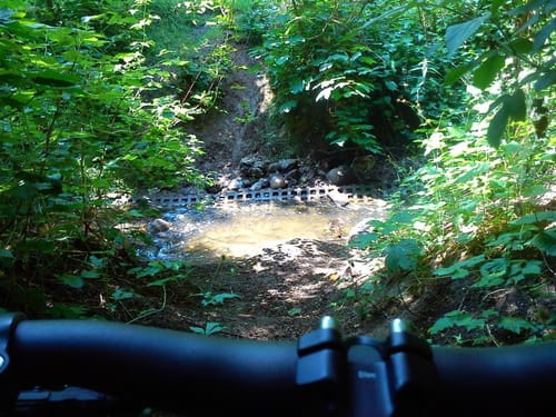 Taucha MTB Tour