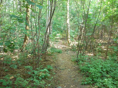 Taucha MTB Tour