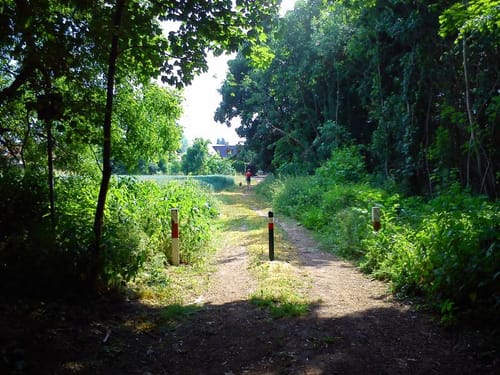 Taucha MTB Tour