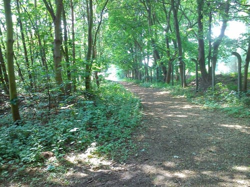 Taucha MTB Tour