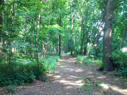 Taucha MTB Tour