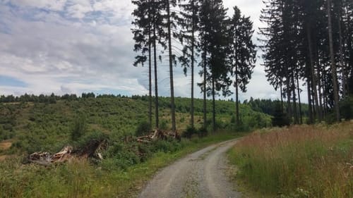 Permanente TUS Neuenrade - Tour zum Sorpesee - 40er Strecke