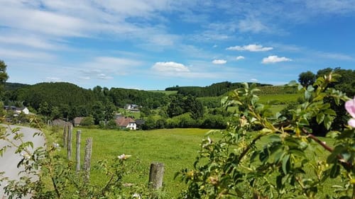 Rundweg um Wenholthausen W2